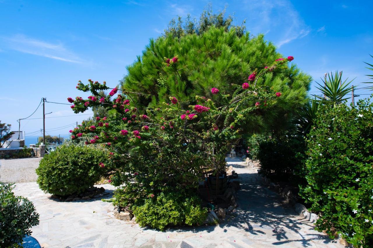 Aperto Apartments Mykonos Town Extérieur photo